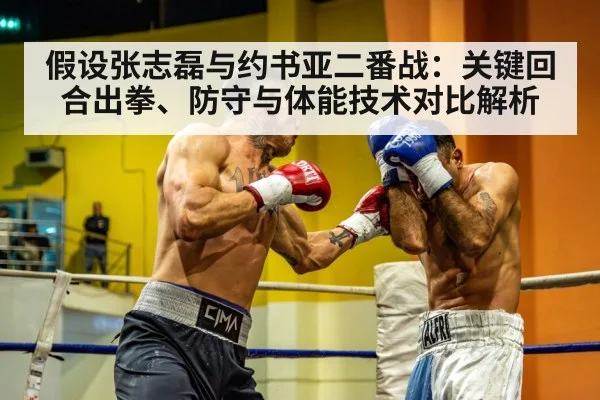 heavyweight boxing match