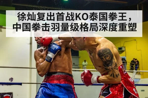 boxer knockout punch